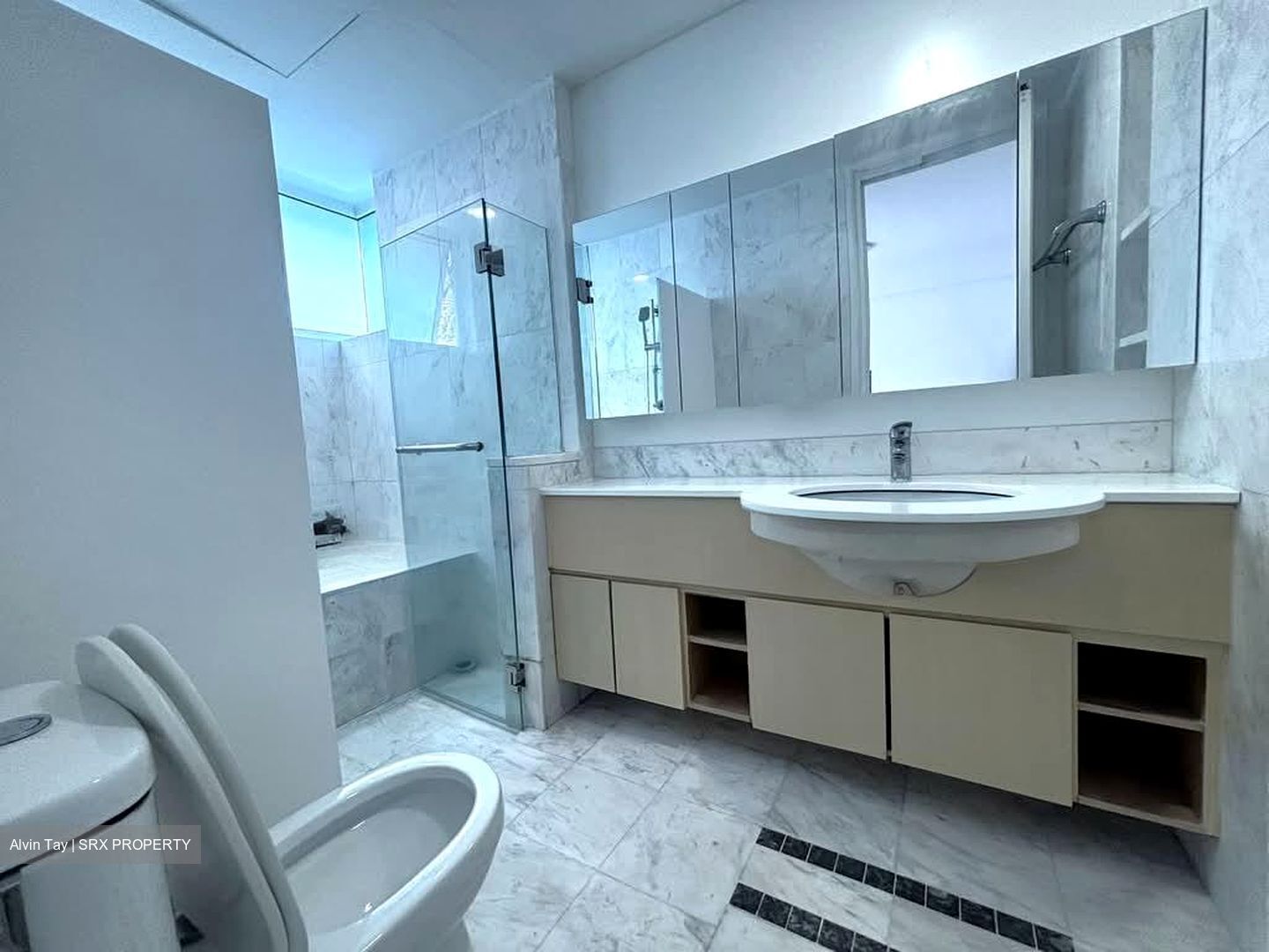 Dahlia Park Condominium (D17), Condominium #563214741